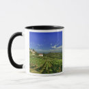 Search for castello mugs Italy