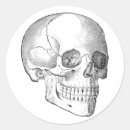 Search for vintage medical stickers Anatomy