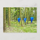 Search for wald postcards Postkarte