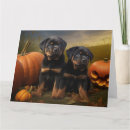 Search for rottweiler puppies cards Animal