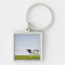 Search for dairy cow key rings Rural scene