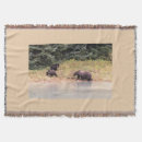 Search for grizzly photography Travel