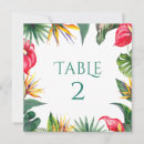 Search for tropical numbers table cards White