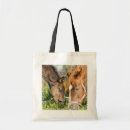 Search for foal accessories Pasture