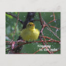 Search for warbler postcards Birding
