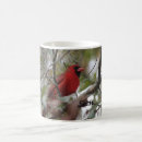 Search for north american bird mugs Animal