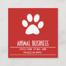Search for veterinary clinic appointment cards Animal care