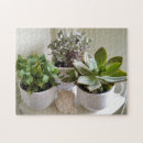 Search for succulent puzzles Floral