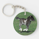 Search for foal key rings Bob langrish