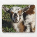 Search for goat mousepads Pet
