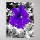 Search for fever posters Flowers