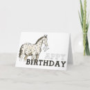 Search for appys Equine