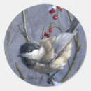 Search for winter chickadee stickers Black capped chickadee