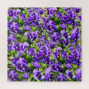 Search for pansy puzzles Flower