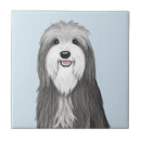 Search for collie tiles Cartoon