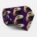 Search for falcon ties Peregrine