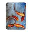 Search for koi magnets Fish