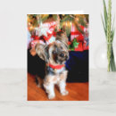 Search for new york city christmas cards Photography