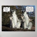 Search for lemurs posters Funny