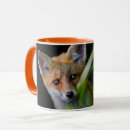 Search for wild fox mugs Forest