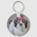 Search for purebreed Puppy