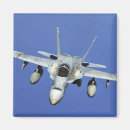 Search for hornets magnets Flight