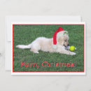 Search for puppy christmas cards Cute