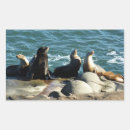 Search for sea lion stickers Nature