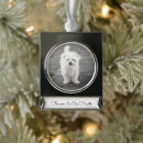 Search for pet memorials Forever in our hearts
