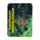 Search for fall tree magnets Colorful