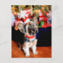 Search for new york city christmas cards Photography