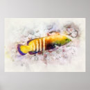 Search for tropical fish posters Blue