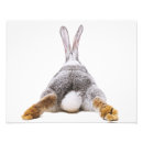 Search for cute easter bunny art Wildlife