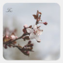 Search for plum square stickers Flowers