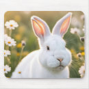 Search for rabbit ear electronics Animal
