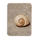 Search for marine life magnets Shell