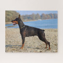 Search for doberman pinscher puzzles Pet