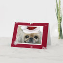 Search for pekingese dog cards Peke