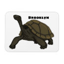 Search for galapagos magnets Reptile