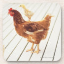 Search for two sided coasters Outdoors