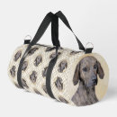 Search for plott hound Coonhound