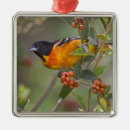 Search for oriole christmas tree decorations Orange