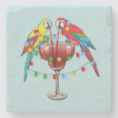 Search for macaw coasters Summer