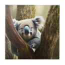 Search for smiling tiles Wildlife