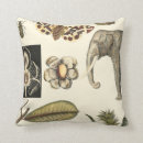 Search for insect cushions Cream