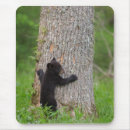 Search for smokey mountain mousepads Superstock