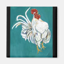 Search for rooster magnets Bird