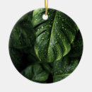 Search for drop leafs Tropical