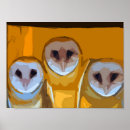 Search for black white owl posters Owls