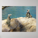 Search for wildlife photography posters Animal